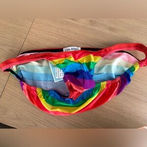 Brand new Carl Wesley handmade rainbow bikini swimsuit